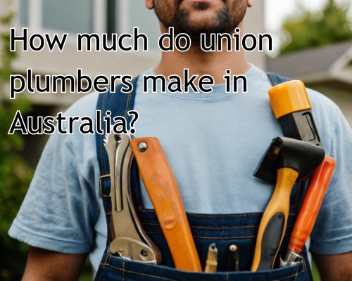 Plumber with toolbox fixes connection.