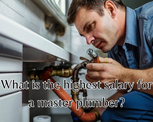 a master plumber on duty
