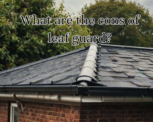 Leafguard runs neatly along the roofline.
