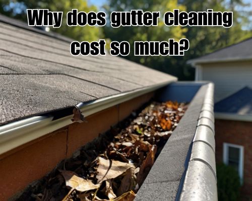 Leaves clogging gutter, needs cleaning.
